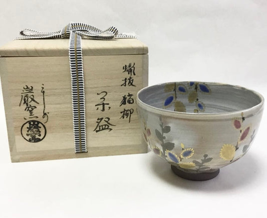 Iwagama Wax-Resist Pussy Willow Tea Bowl - Spring Nekoyanagi Chawan with Kiri Box