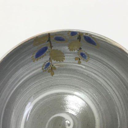 Iwagama Wax-Resist Pussy Willow Tea Bowl - Spring Nekoyanagi Chawan with Kiri Box