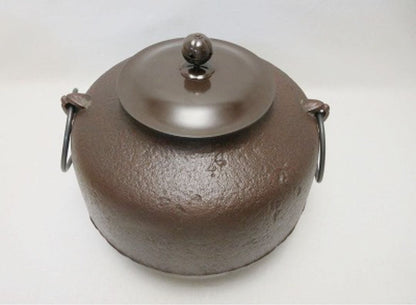 Japanese Cast Iron Tea Ceremony Kettle, Amidado Gama Chagama by Living National Treasure Takahashi Keiten, Signed Tomobako, Unused
