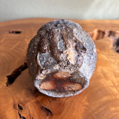 Shigaraki Hanging Flower Vase by Minagawa Takashi, Tsuchi no Ko Kiln — Natural Ash Glaze Wabi-Sabi Ikebana Vessel with Original Box