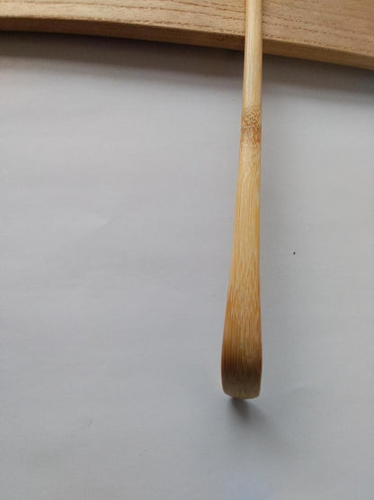 Daitokuji Kotoin Chashaku 'Matsu no Midori' by Ueda Gizan – Bamboo Tea Scoop with Box