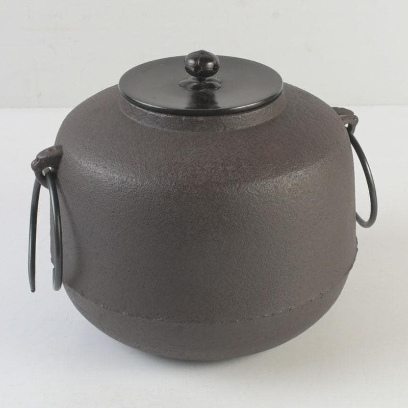 Kikuchi Masamitsu Pine Pattern Amida Iron Tea Kettle Chagama