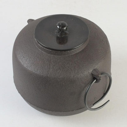 Kikuchi Masamitsu Pine Pattern Amida Iron Tea Kettle Chagama