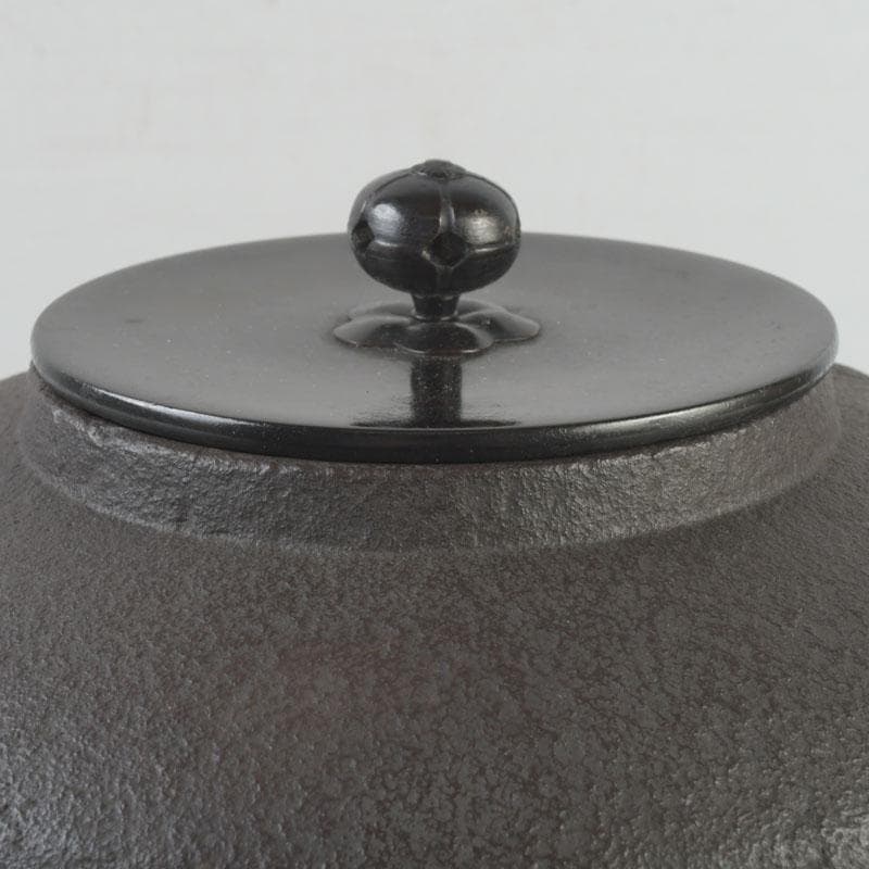 Kikuchi Masamitsu Pine Pattern Amida Iron Tea Kettle Chagama