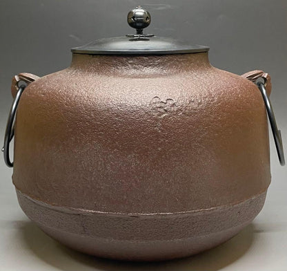 Amida-gama Tea Kettle by Living National Treasure Takahashi Keitei | Iron Chagama Box