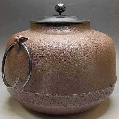 Amida-gama Tea Kettle by Living National Treasure Takahashi Keitei | Iron Chagama Box