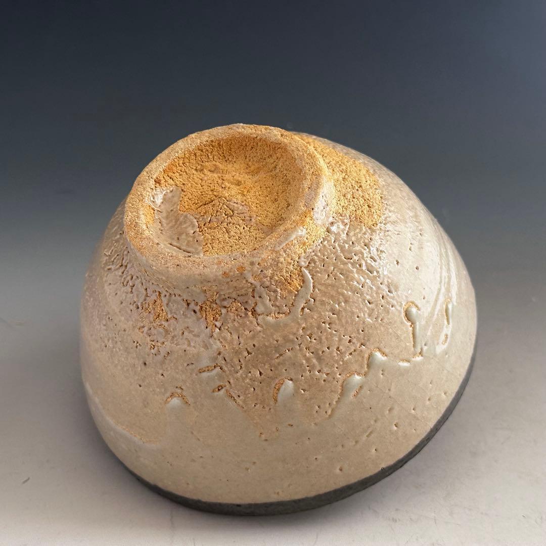 Karatsu Kawakujira Tea Bowl by Nakazato Shigetoshi - Iron Rim Glaze
