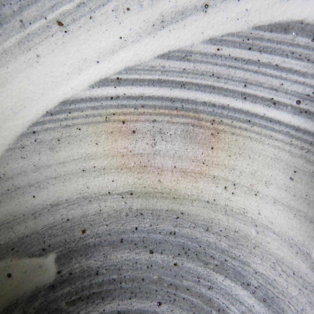 Nakazato Takashi Karatsu Hakeme Tea Bowl — Ryuta-gama Chawan with Tomobako
