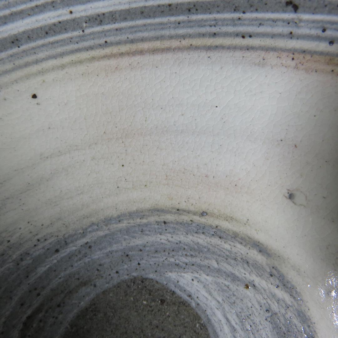 Nakazato Takashi Karatsu Hakeme Tea Bowl — Ryuta-gama Chawan with Tomobako