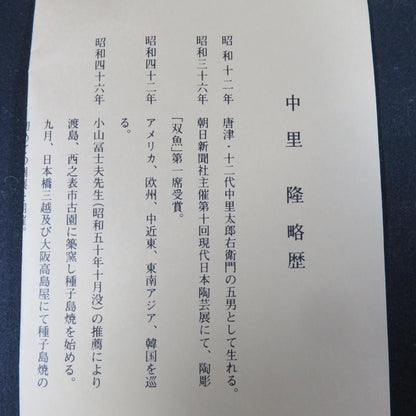 Nakazato Takashi Karatsu Hakeme Tea Bowl — Ryuta-gama Chawan with Tomobako