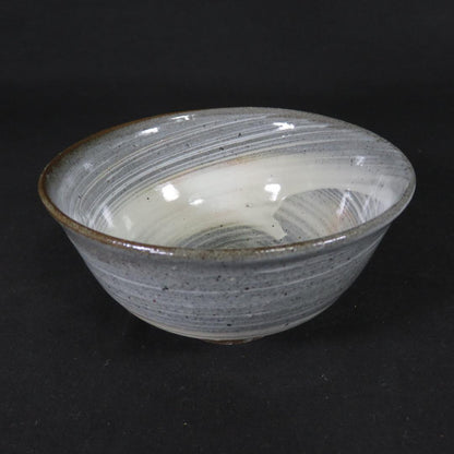 Nakazato Takashi Karatsu Hakeme Tea Bowl — Ryuta-gama Chawan with Tomobako