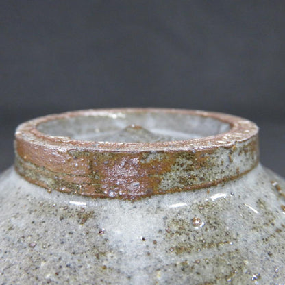 Nakazato Takashi Karatsu Hakeme Tea Bowl — Ryuta-gama Chawan with Tomobako