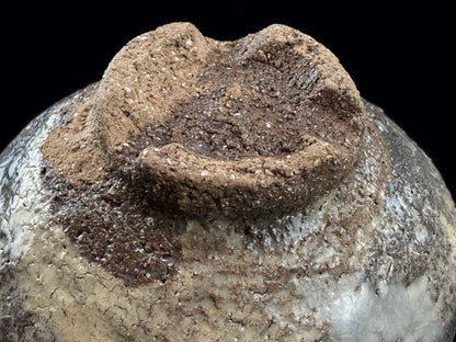 Hagi Chawan by Yoshida Hagien, Gyokuryūzan Kiln — Onihagi, Gohonde, Signed