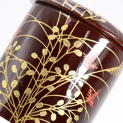 Set of 4 Seasonal Natsume by Nakamura Kosai — Shiki Natsume Maki-e Tea Caddies, Tomobako