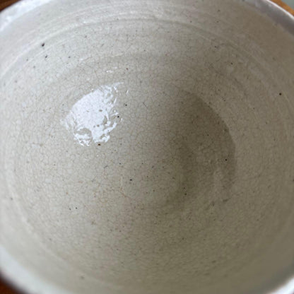 Honiwa Rakunyu Shigaraki Akae Tea Bowl — Overglaze Flower Medallion Chawan