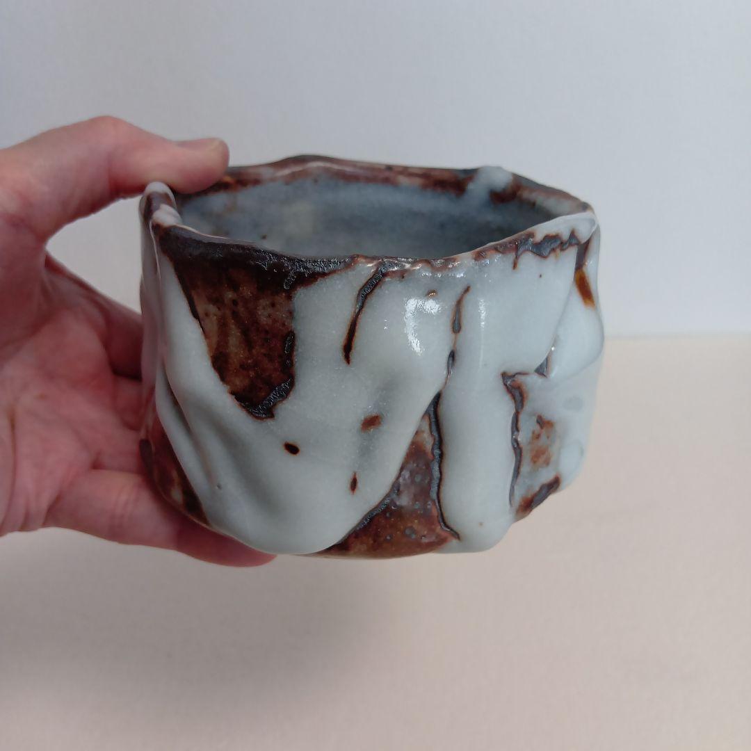 Oni-Shino Tea Bowl by Hasegawa Yoshiaki — Mino Chawan with Tomobako