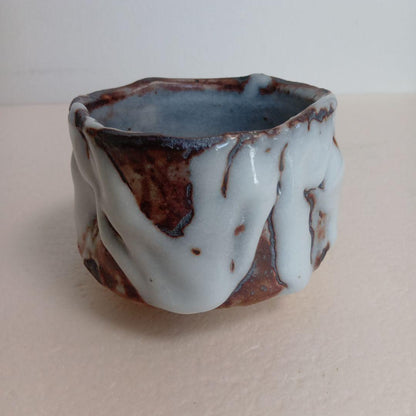 Oni-Shino Tea Bowl by Hasegawa Yoshiaki — Mino Chawan with Tomobako