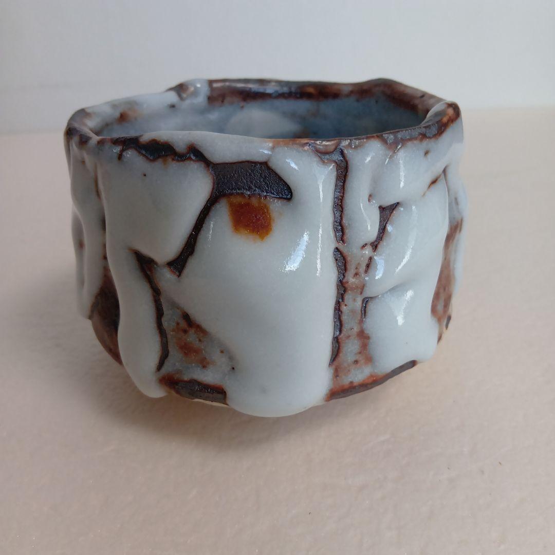 Oni-Shino Tea Bowl by Hasegawa Yoshiaki — Mino Chawan with Tomobako