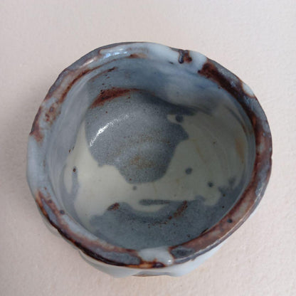 Oni-Shino Tea Bowl by Hasegawa Yoshiaki — Mino Chawan with Tomobako
