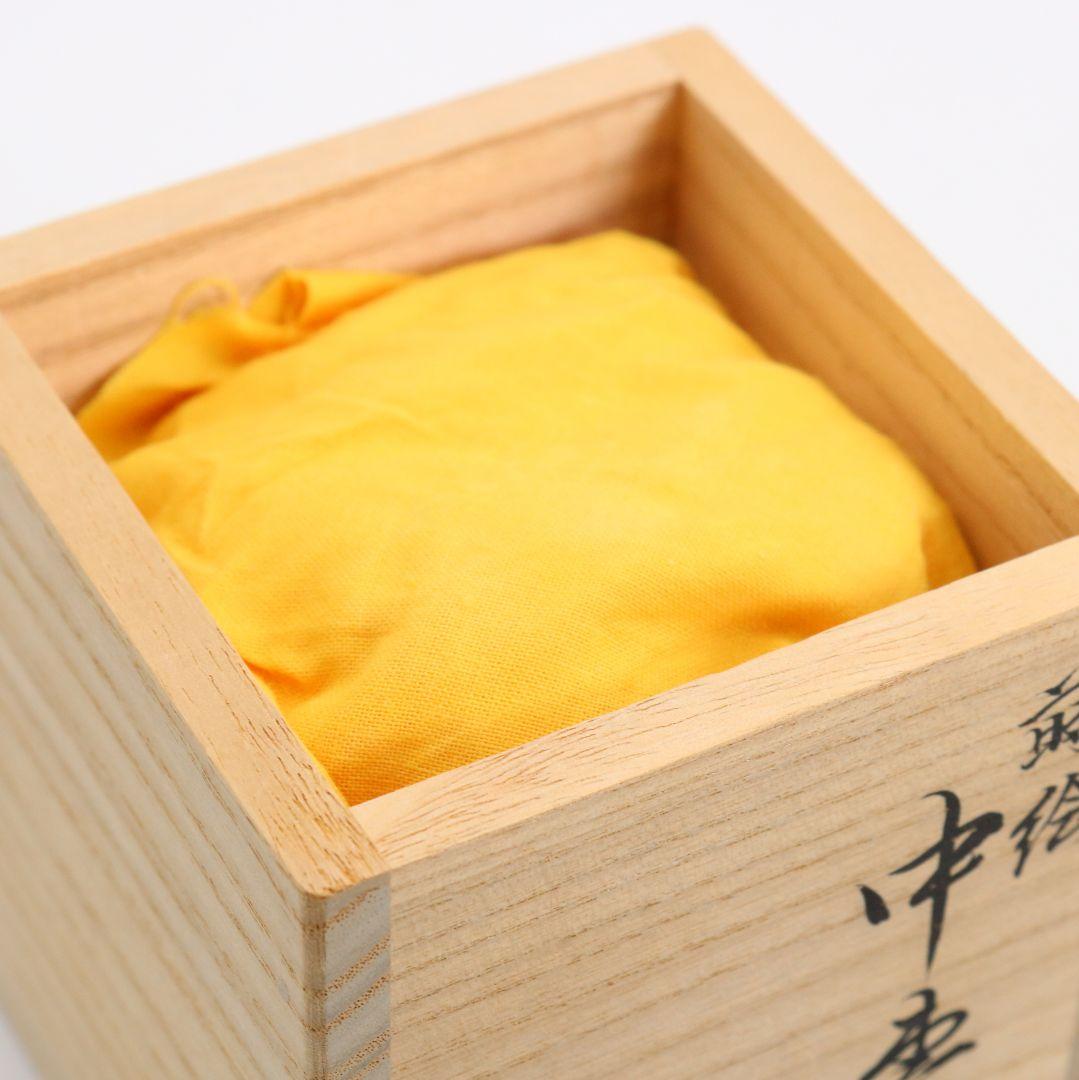 Washi-Wrapped Willow Natsume by Tsukishiro Ryosai - Maki-e Tea Caddy with Box