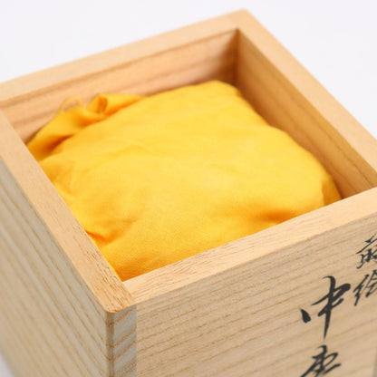 Washi-Wrapped Willow Natsume by Tsukishiro Ryosai - Maki-e Tea Caddy with Box