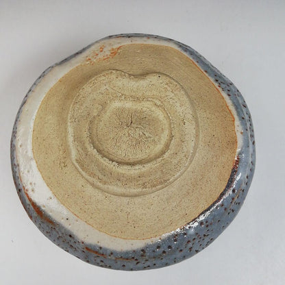 Nezumi Shino Tea Bowl by Hayashi Eiji — Momoyama Kiln Grey Shino Chawan with Iron Speckle Glaze