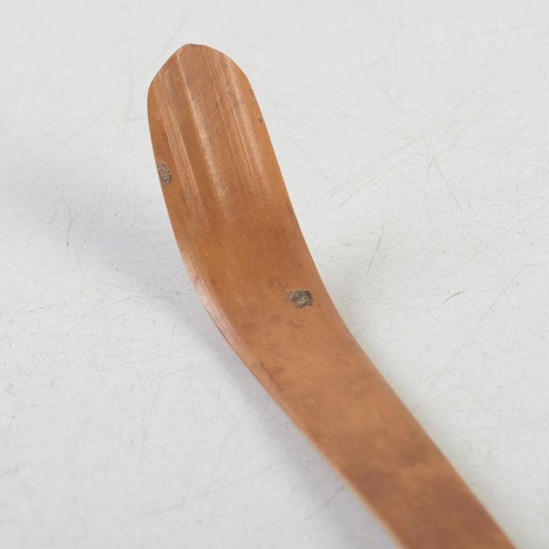 Bamboo Chashaku Tea Scoop 'Tsurezure' — by Tankan, Inscribed by Hasegawa Kanshū of Daitoku-ji