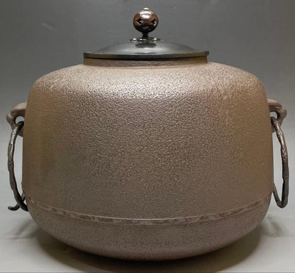 Shirizari Cast Iron Tea Kettle by Kakutani Shason — Chagama with Bail Rings