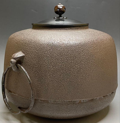 Shirizari Cast Iron Tea Kettle by Kakutani Shason — Chagama with Bail Rings