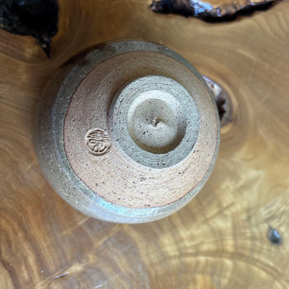 E-Karatsu Bamboo Shoot Tea Bowl — Iron Oxide Painted Takenoko Chawan with Tomobako