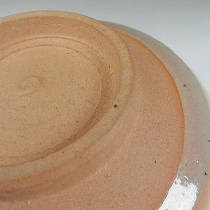 Kenzan Fukiyose Tea Bowl by Hashimoto Shiun - Autumn Leaves