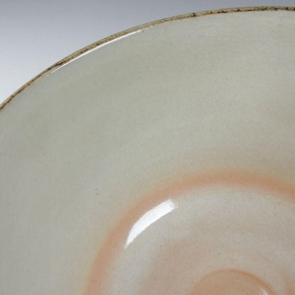 Kenzan Fukiyose Tea Bowl by Hashimoto Shiun - Autumn Leaves