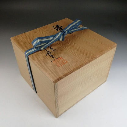 Tokoname Ware Tea Bowl by Horaido Okinken Kiln - Green Ash Glaze Matcha Chawan with Box