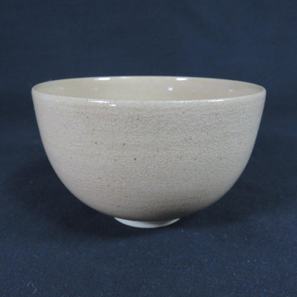 Kutani Ware Chawan by Shiho - Pampas Grass Moon Design Tea Bowl with Signed Box