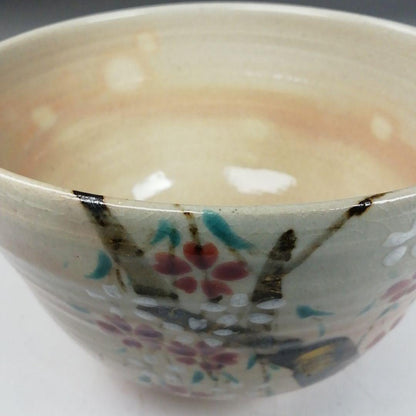 Nakamura Nokyu — Kenzan-style Shidare-zakura Chawan | Kyoto Matcha Tea Bowl with Signed Tomobako
