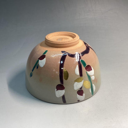 Pussy Willow Nekoyanagi Tea Bowl - Kyo-yaki Spring Chawan with Polychrome Enamel and Box