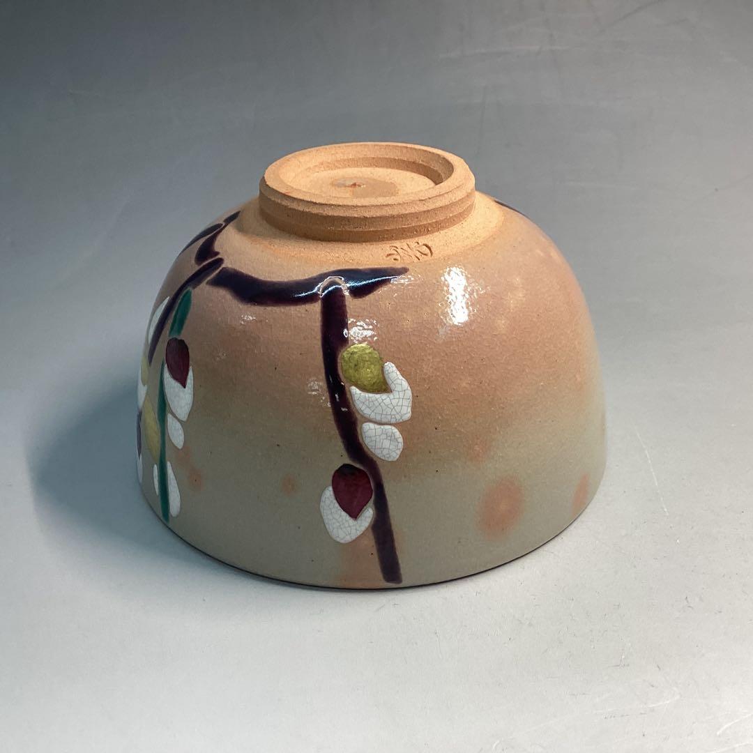 Pussy Willow Nekoyanagi Tea Bowl - Kyo-yaki Spring Chawan with Polychrome Enamel and Box