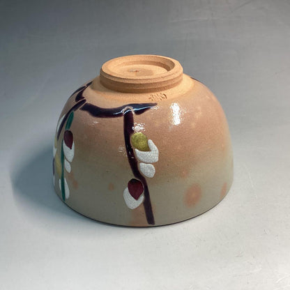 Pussy Willow Nekoyanagi Tea Bowl - Kyo-yaki Spring Chawan with Polychrome Enamel and Box