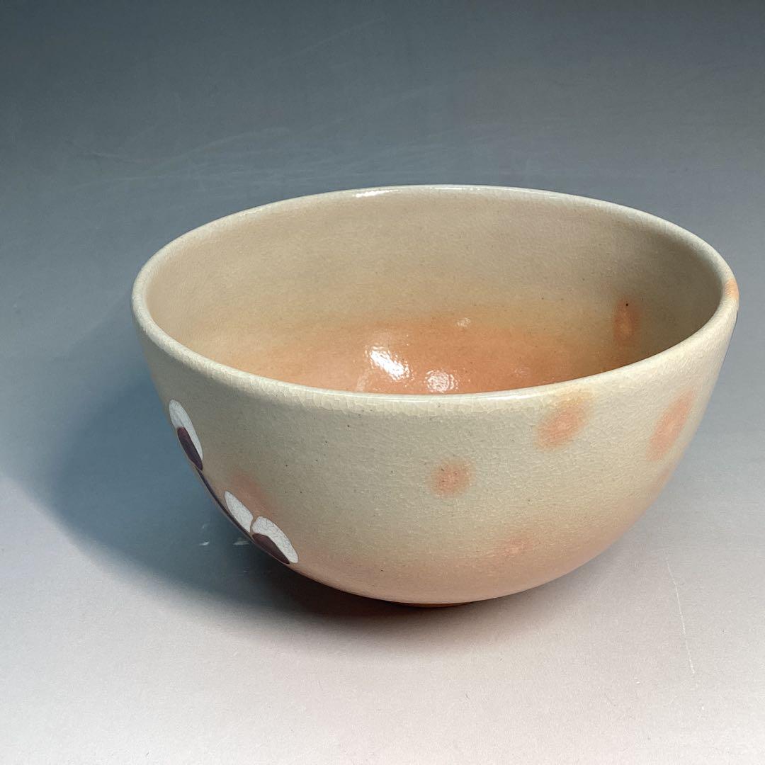 Pussy Willow Nekoyanagi Tea Bowl - Kyo-yaki Spring Chawan with Polychrome Enamel and Box