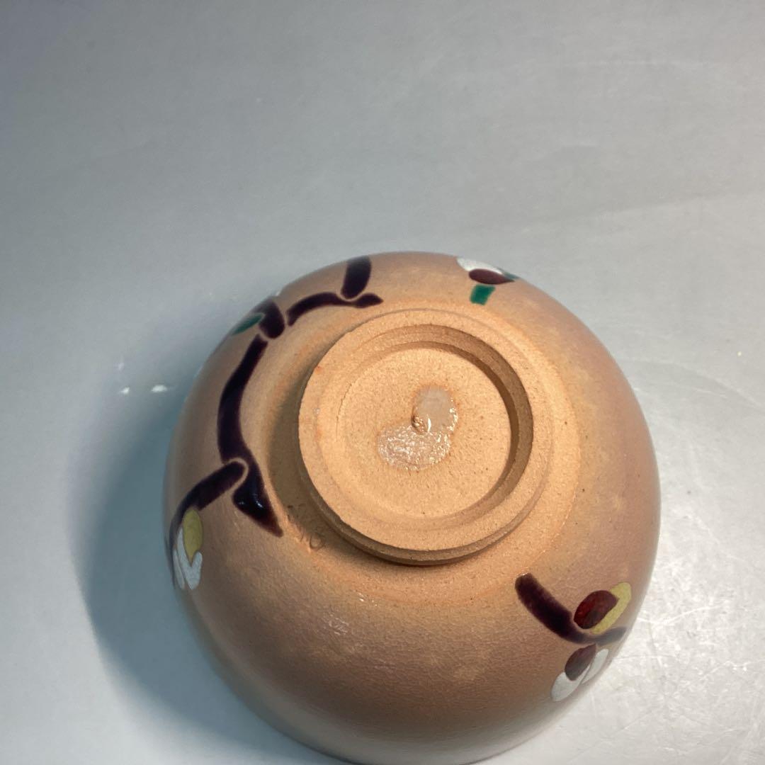 Pussy Willow Nekoyanagi Tea Bowl - Kyo-yaki Spring Chawan with Polychrome Enamel and Box