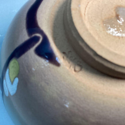 Pussy Willow Nekoyanagi Tea Bowl - Kyo-yaki Spring Chawan with Polychrome Enamel and Box