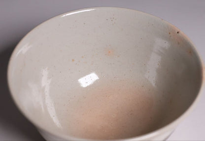 14th Gen Asahi Hosai Iris Iron Painting Tea Bowl - Kaisen Inscription Asahi-yaki