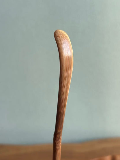 Tea Scoop "Koiwamatsu" by Former Daitoku-ji Abbot — Bamboo Tube, Wooden Box | 茶杓 銘 古岩松 前大徳