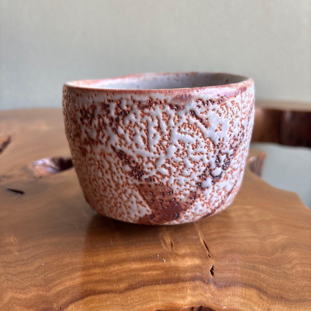 Shino Tea Bowl by Nakajima Masao | Gazan-gama Mino Ware | E-Shino Matcha Bowl with Iron-Painted Grass Motif | Signed Wooden Box