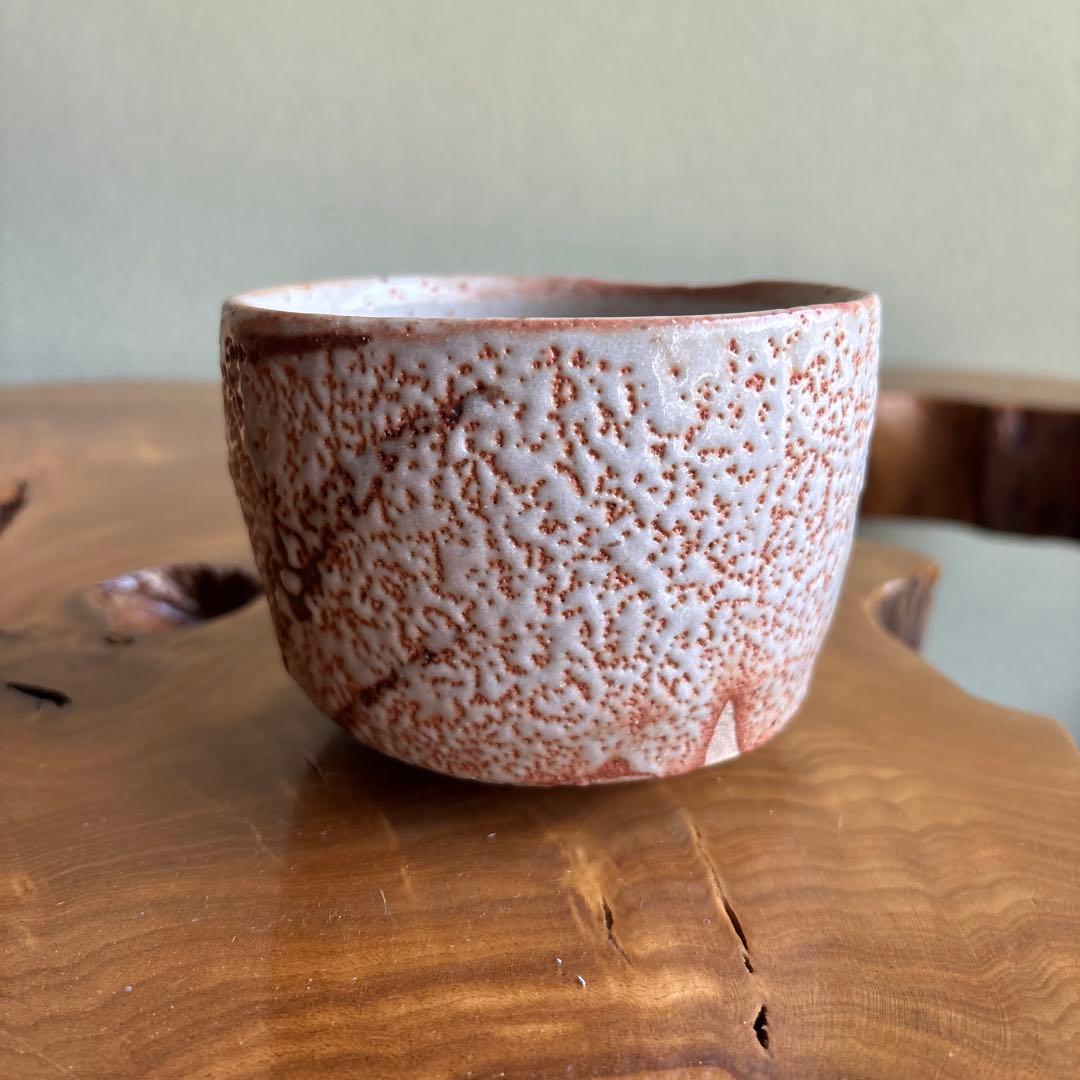 Shino Tea Bowl by Nakajima Masao | Gazan-gama Mino Ware | E-Shino Matcha Bowl with Iron-Painted Grass Motif | Signed Wooden Box