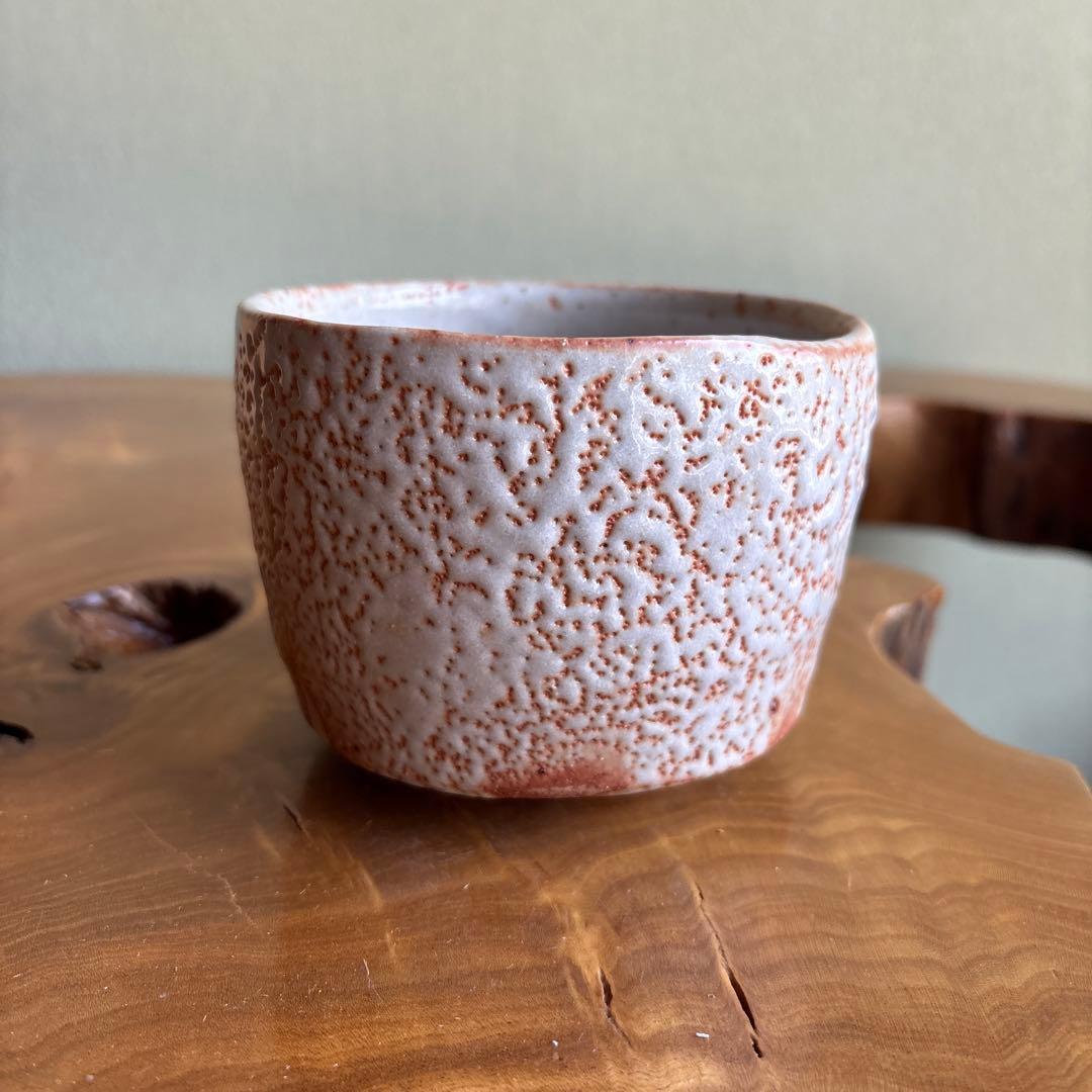 Shino Tea Bowl by Nakajima Masao | Gazan-gama Mino Ware | E-Shino Matcha Bowl with Iron-Painted Grass Motif | Signed Wooden Box