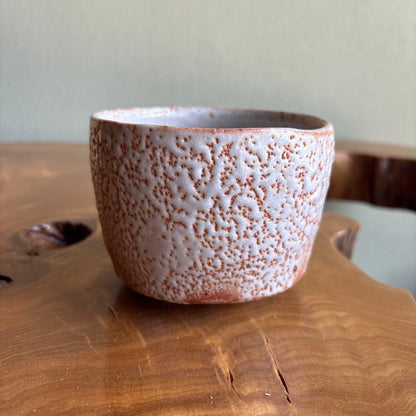 Shino Tea Bowl by Nakajima Masao | Gazan-gama Mino Ware | E-Shino Matcha Bowl with Iron-Painted Grass Motif | Signed Wooden Box