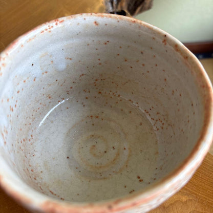 Shino Tea Bowl by Nakajima Masao | Gazan-gama Mino Ware | E-Shino Matcha Bowl with Iron-Painted Grass Motif | Signed Wooden Box