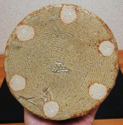 Kato Kiichi Mino-Iga Mizusashi Water Jar Natural Ash Glaze