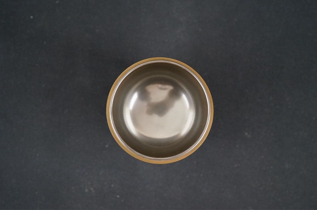 Nanten Maki-e Large Natsume Tea Caddy by Hosokawa Shiko — Silver Interior, Signed Box